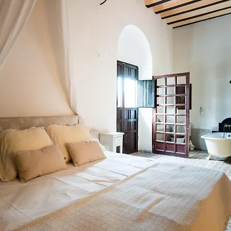 Casa Palacio De La Carrera Holiday home Fuentes de Andalucia
