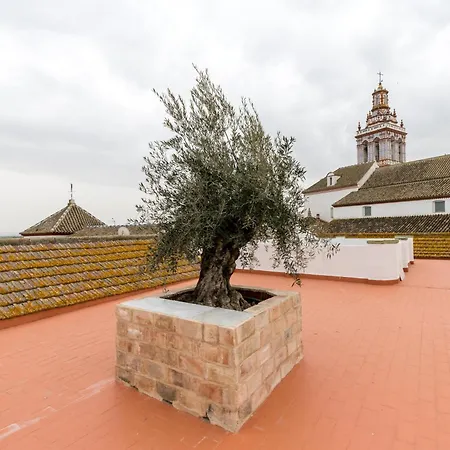 Holiday home Casa Palacio De La Carrera Fuentes de Andalucia